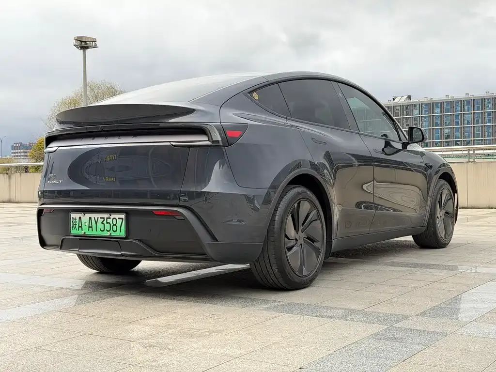 Tesla Model Y — фото 9