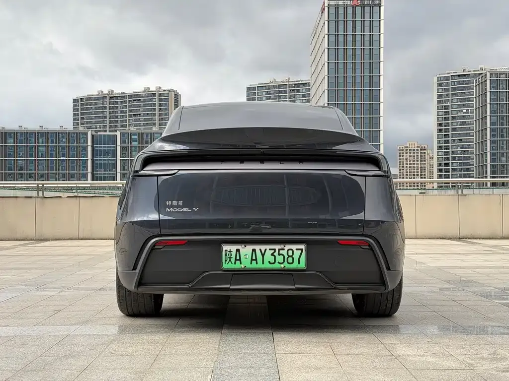 Tesla Model Y — фото 2