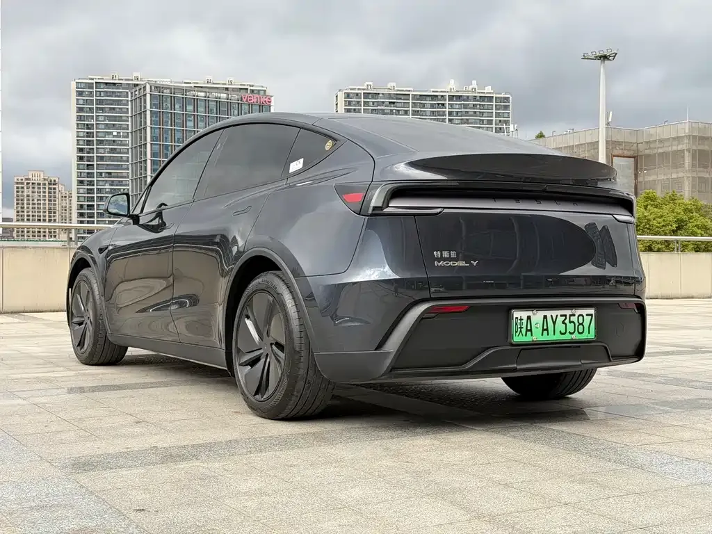 Tesla Model Y — фото 6