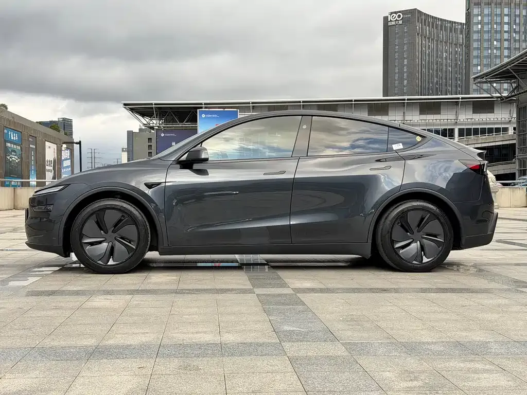 Tesla Model Y — фото 10