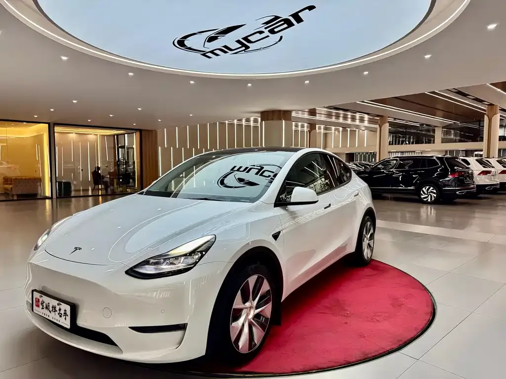 Tesla Model Y — фото 1