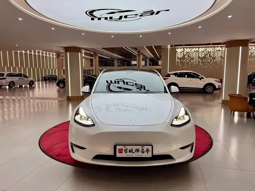Tesla Model Y — фото 6