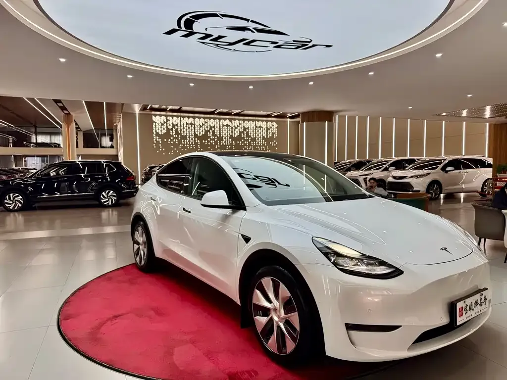 Tesla Model Y — фото 7