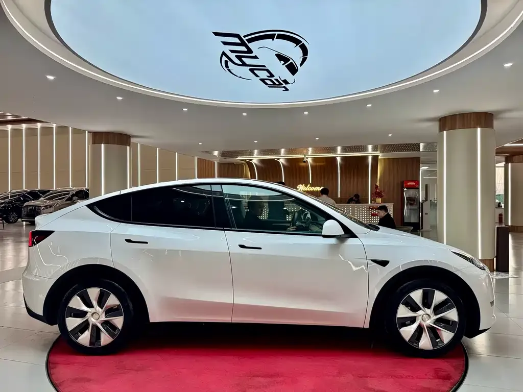 Tesla Model Y — фото 4