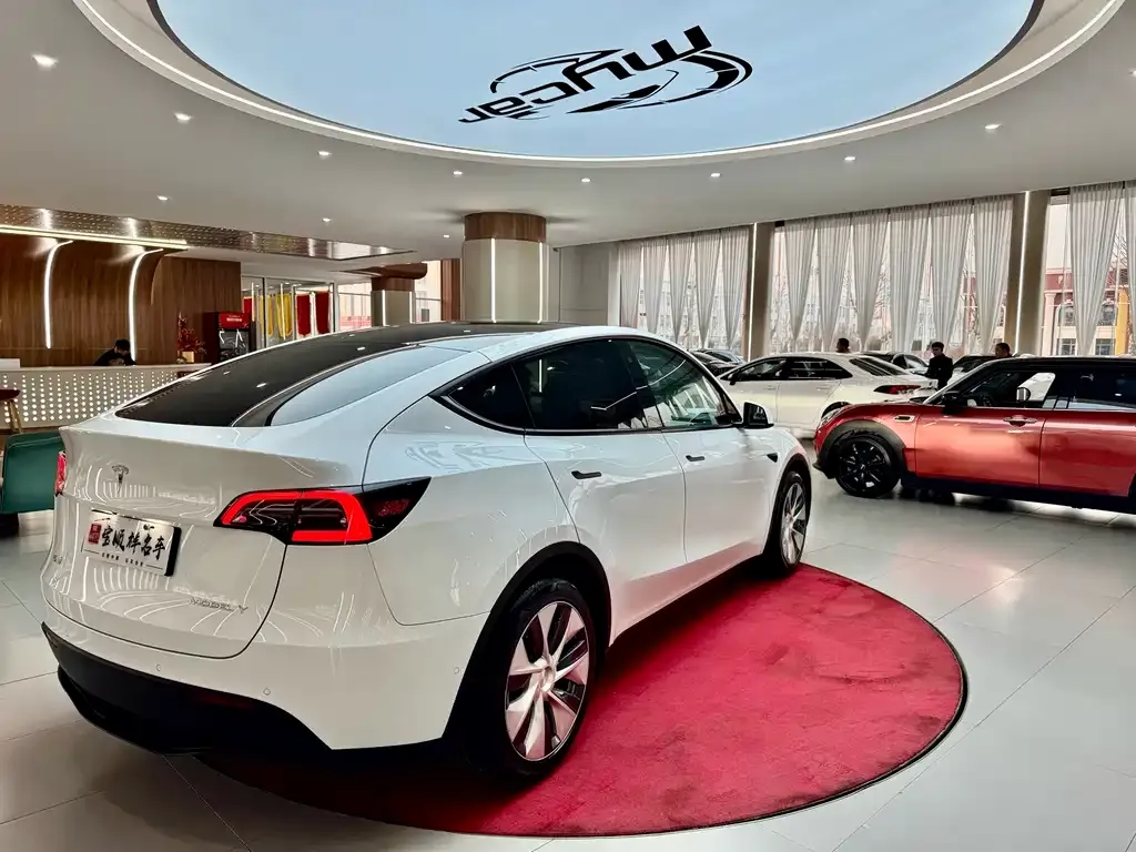 Tesla Model Y — фото 8