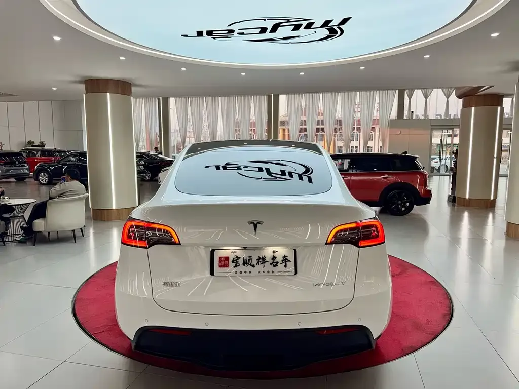 Tesla Model Y — фото 10