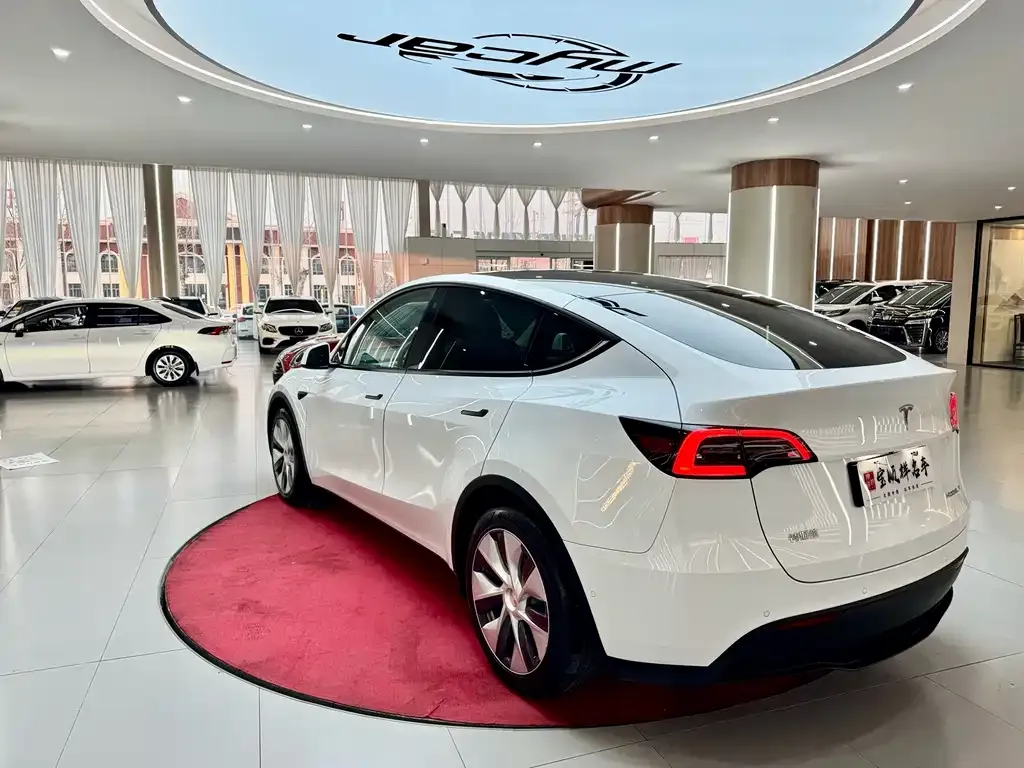Tesla Model Y — фото 9