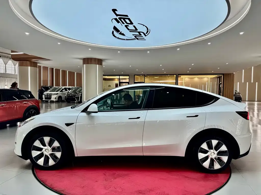 Tesla Model Y — фото 3
