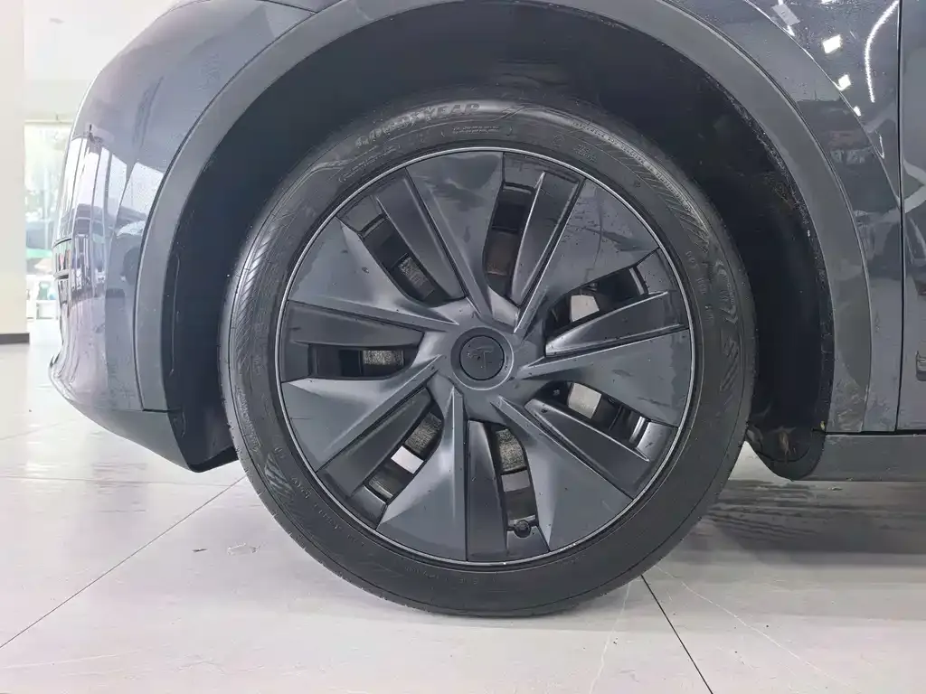 Tesla Model Y — фото 10
