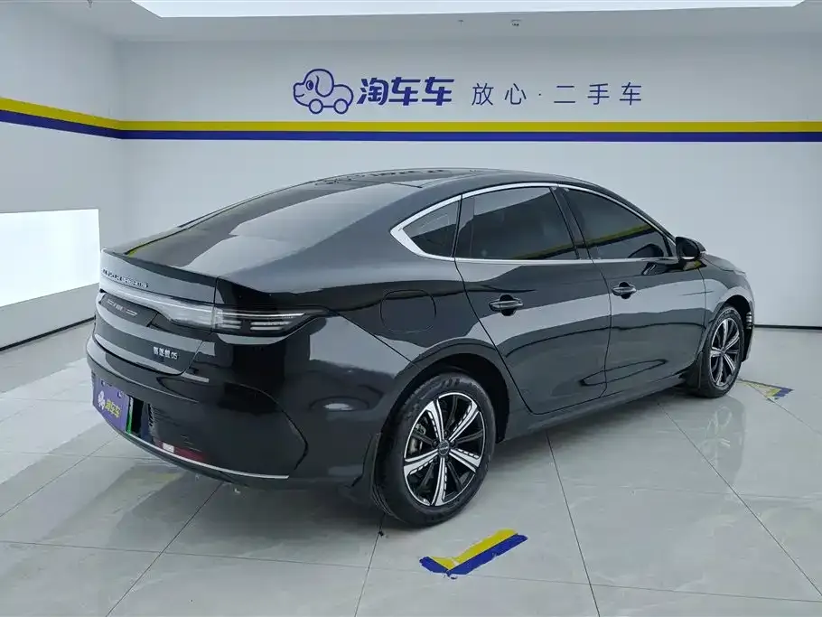 BYD Destroyer 05 — фото 2