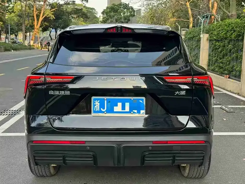 Jetour Dasheng 2022 из CN, фото 10