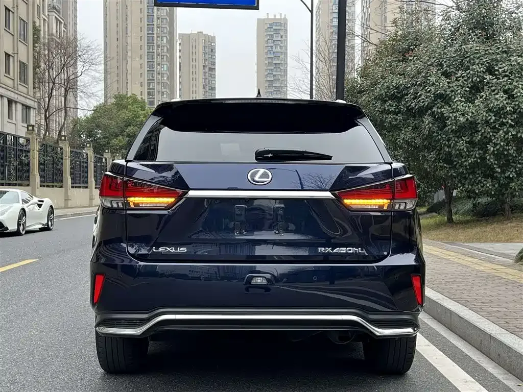 Lexus RX 2021 из CN, фото 5