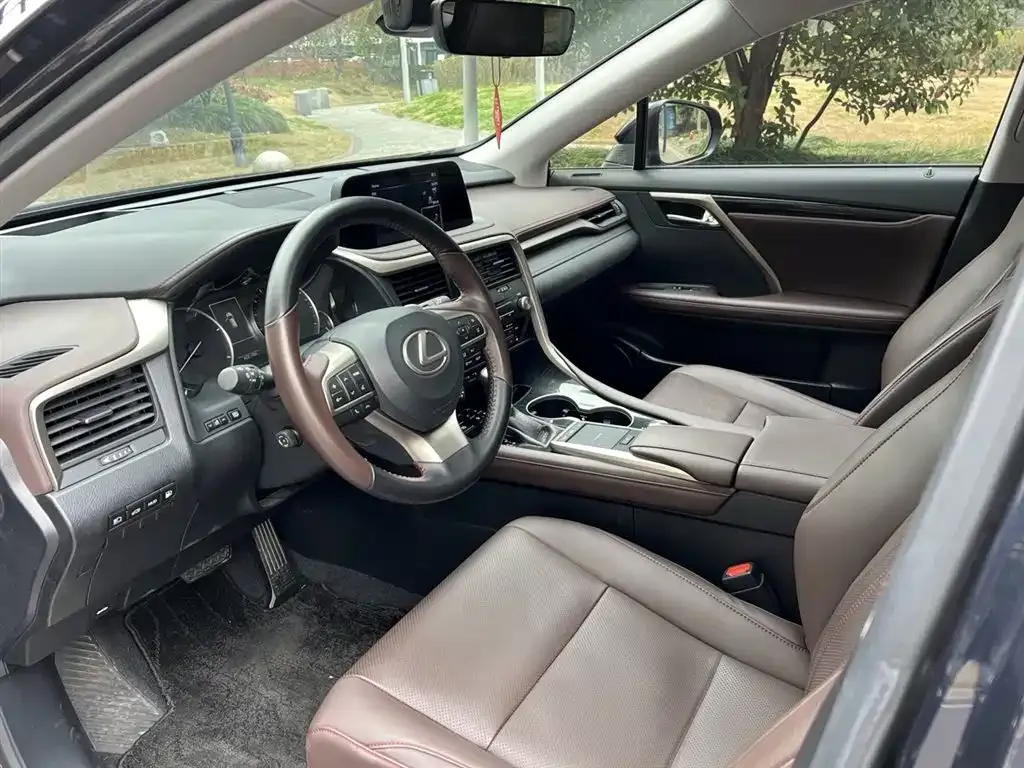 Lexus RX 2021 из CN, фото 10