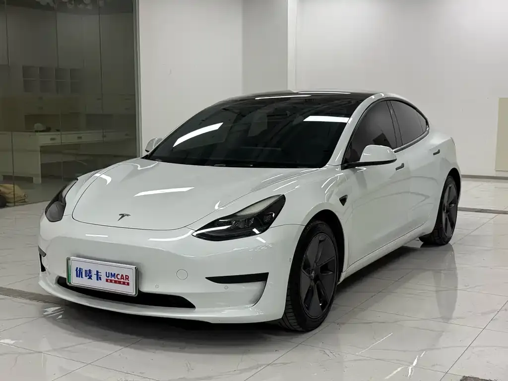 Tesla Model 3 2021 из CN, фото 1