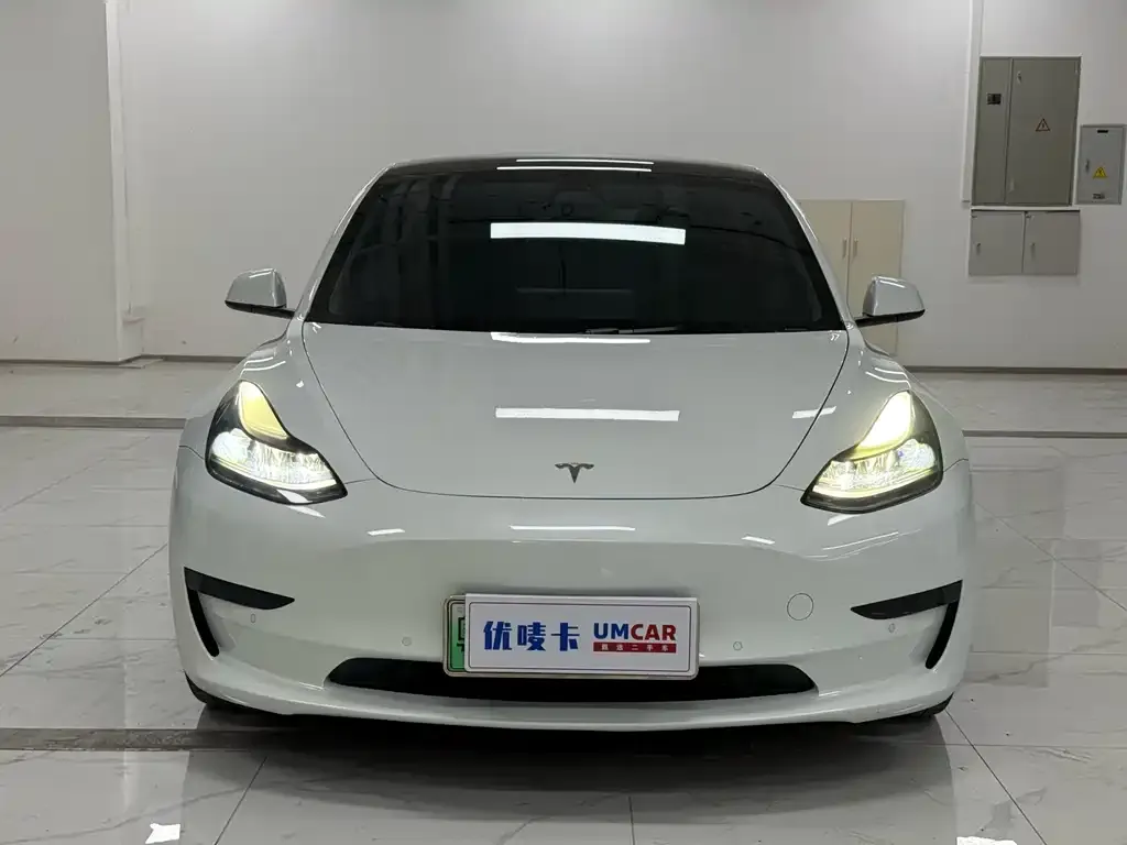 Tesla Model 3 2021 из CN, фото 2