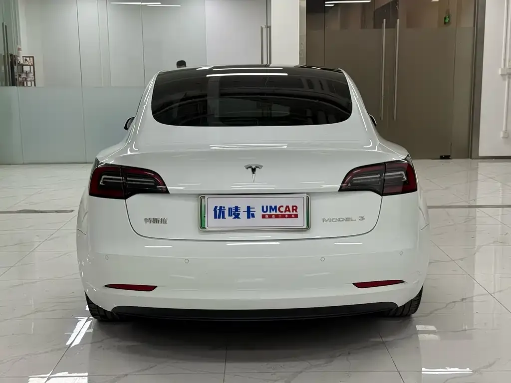Tesla Model 3 2021 из CN, фото 3