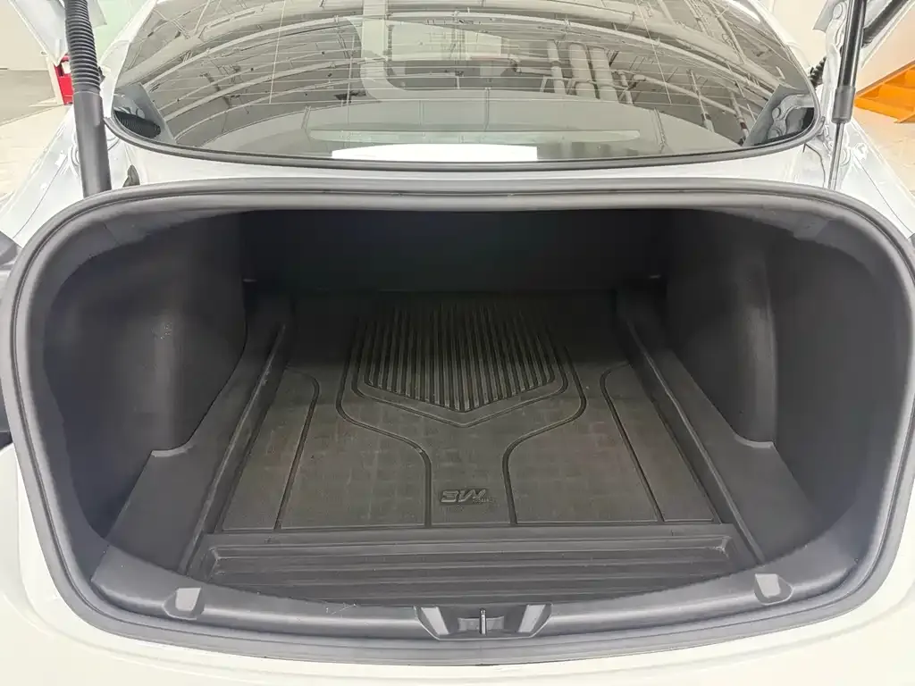 Tesla Model 3 2021 из CN, фото 9