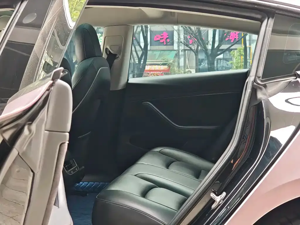 Tesla Model 3 2022 из CN, фото 2