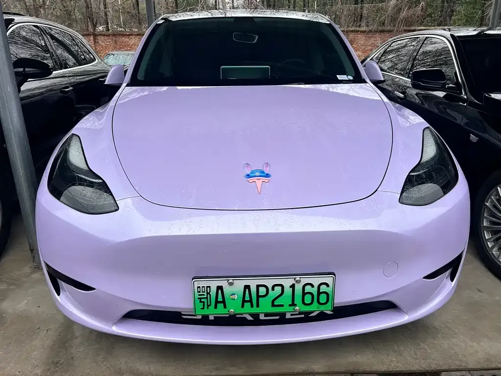 Tesla Model Y — фото 2