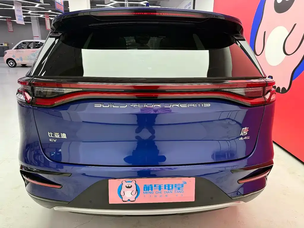 BYD Tang New Energy 2022 из CN, фото 4