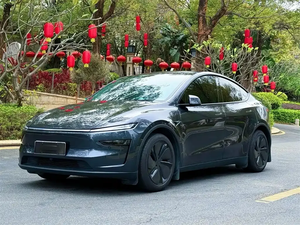 Tesla Model Y — фото 1