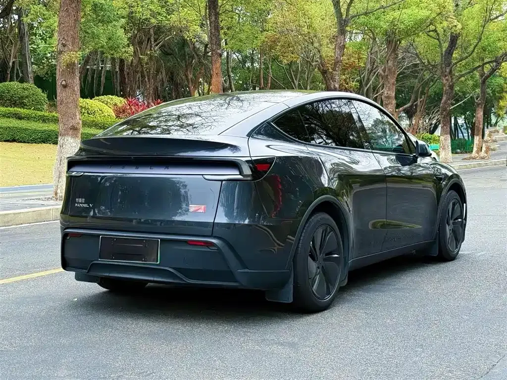 Tesla Model Y — фото 9
