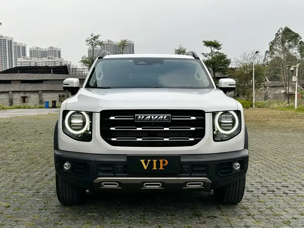 Haval Big Dog 2021 из CN, фото 5
