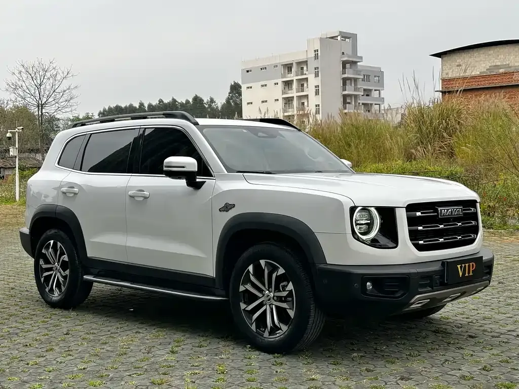 Haval Big Dog 2021 из CN, фото 2