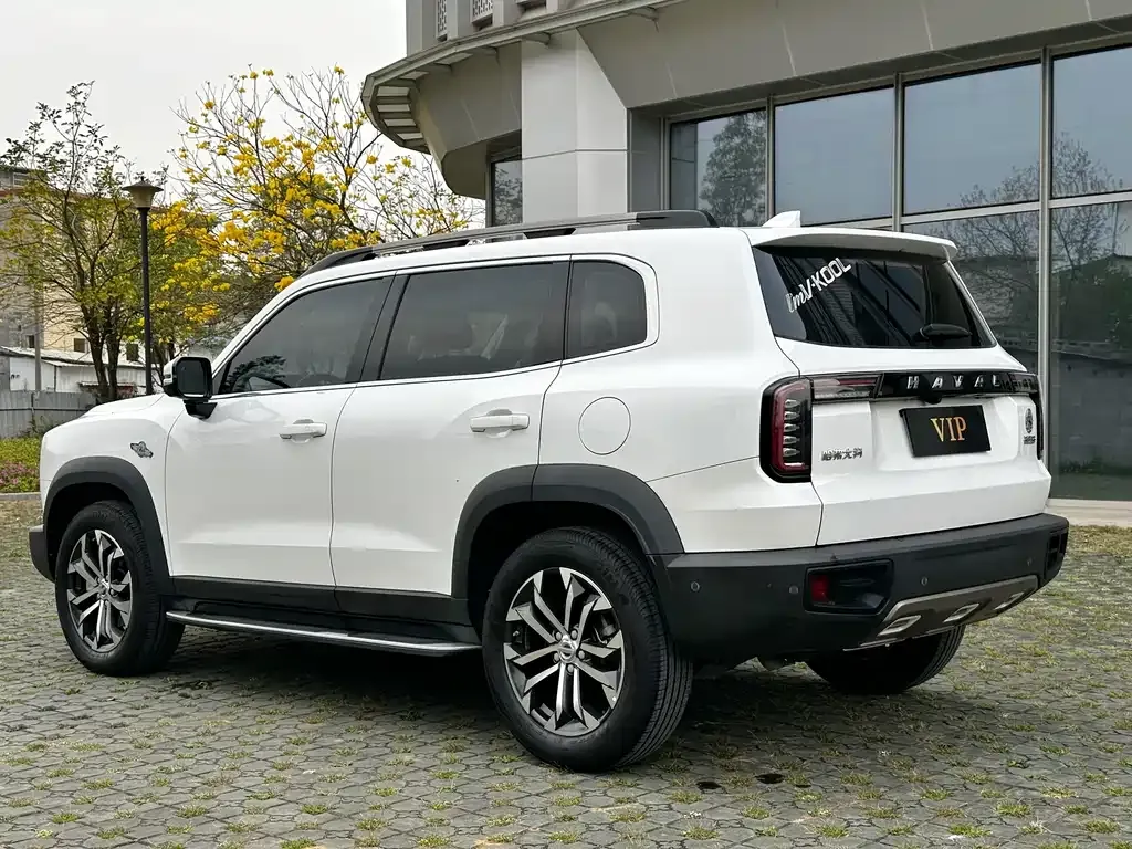Haval Big Dog 2021 из CN, фото 6