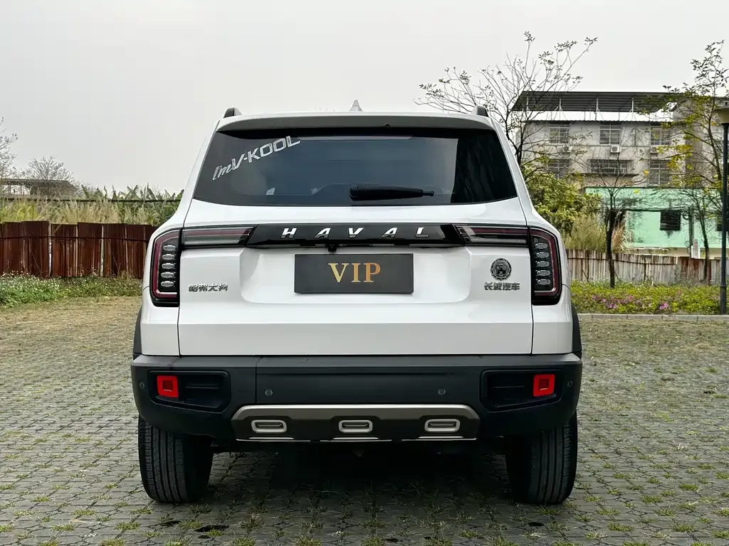 Haval Big Dog 2021 из CN, фото 7