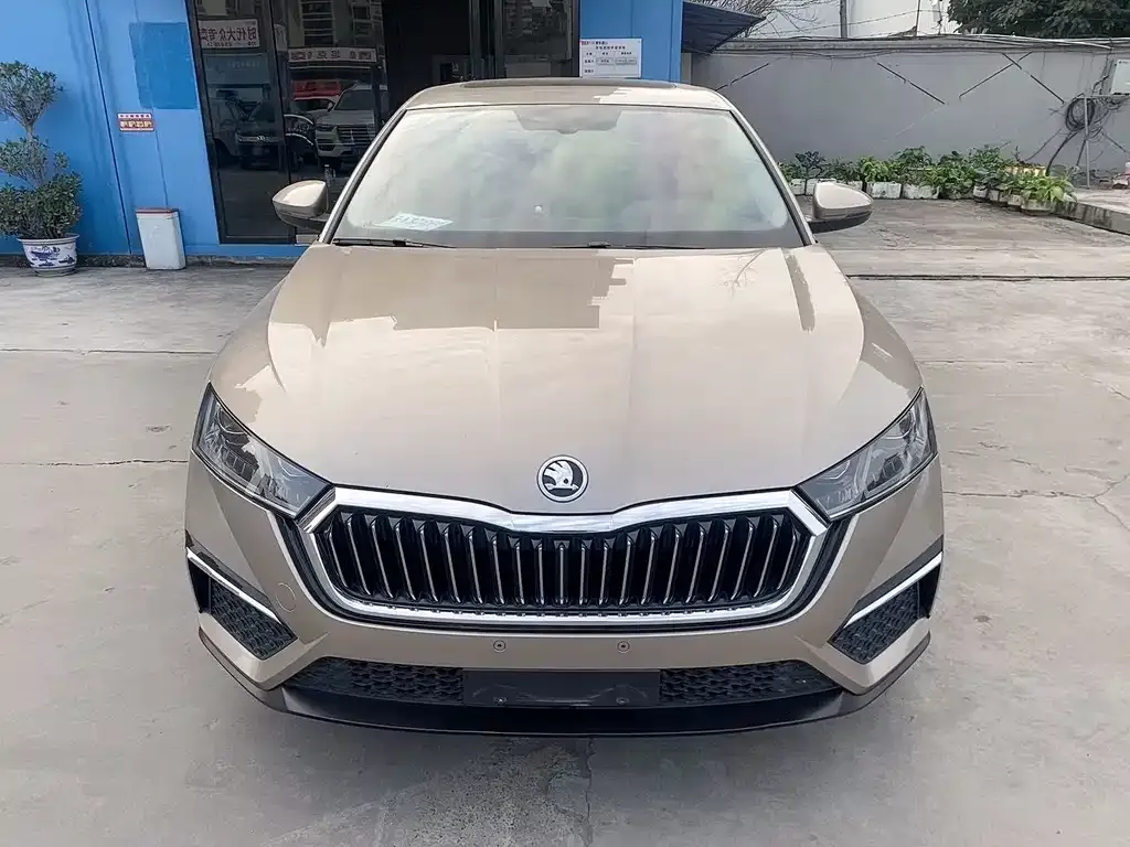 Skoda Octavia 2022 из CN, фото 5