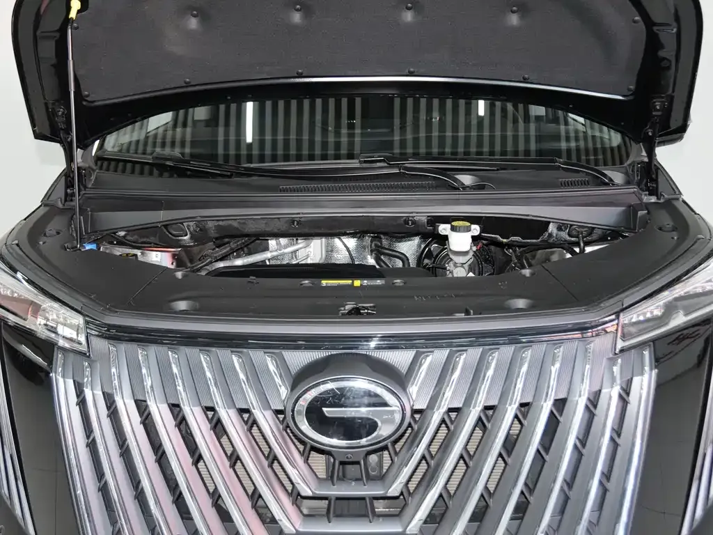 GAC Motor Trumpchi M8 — фото 8