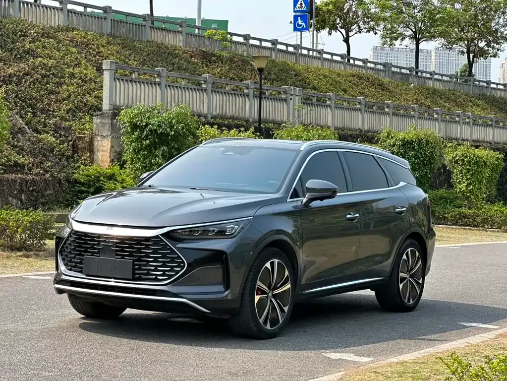 BYD Tang New Energy — фото 1