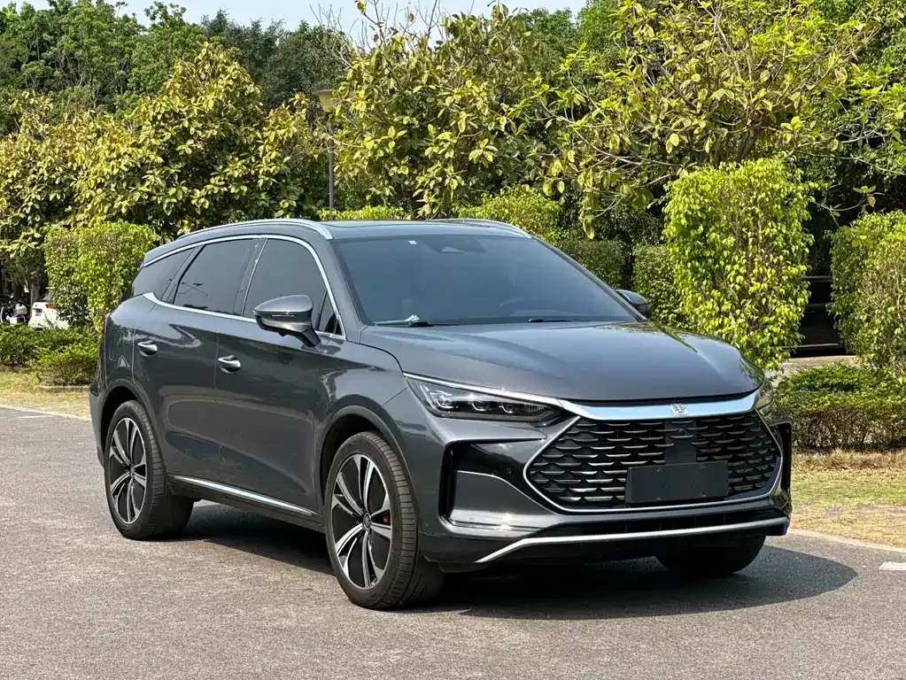 BYD Tang New Energy — фото 10