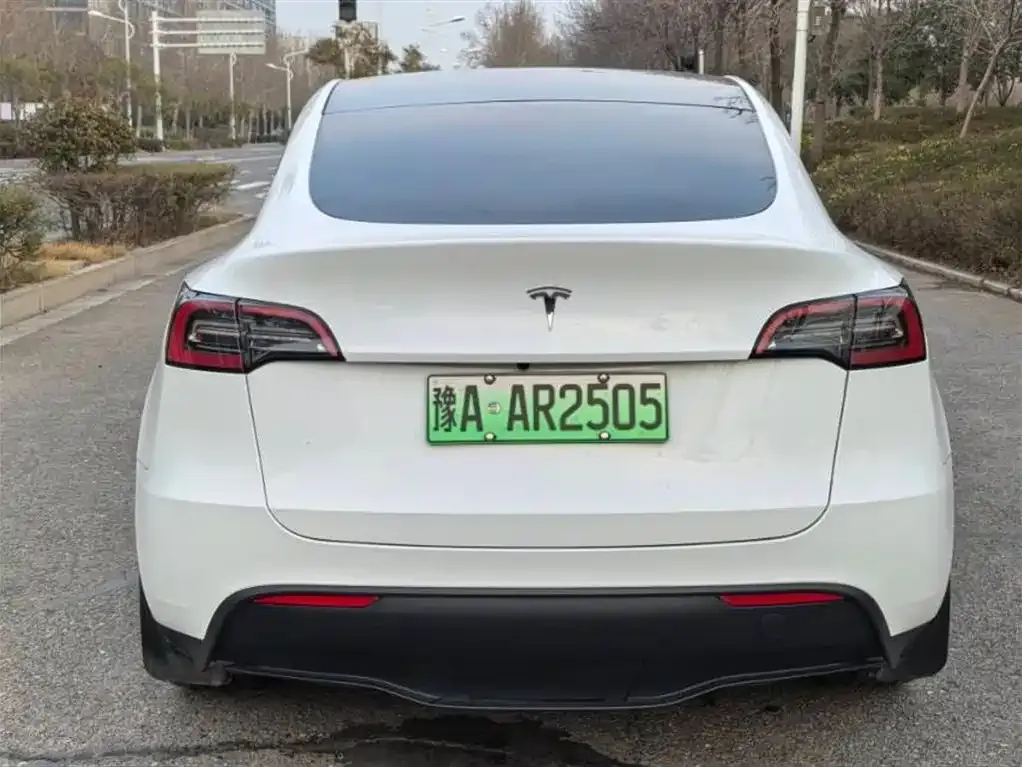 Tesla Model Y — фото 6