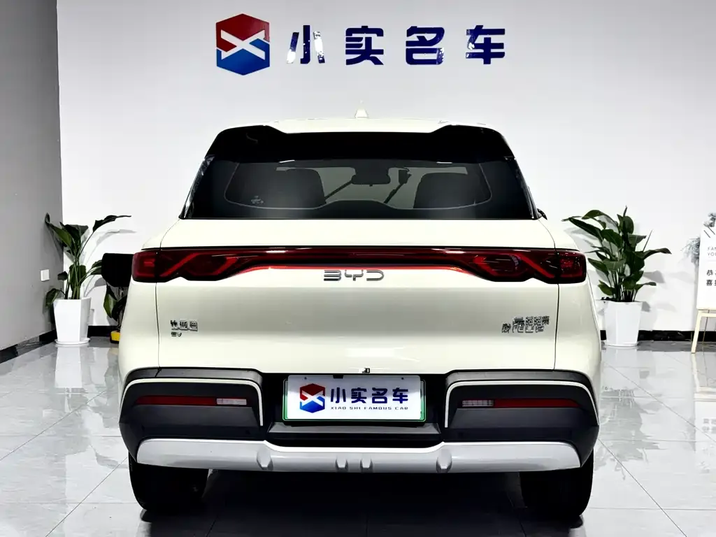 BYD Yuan UP 2024 из CN, фото 2