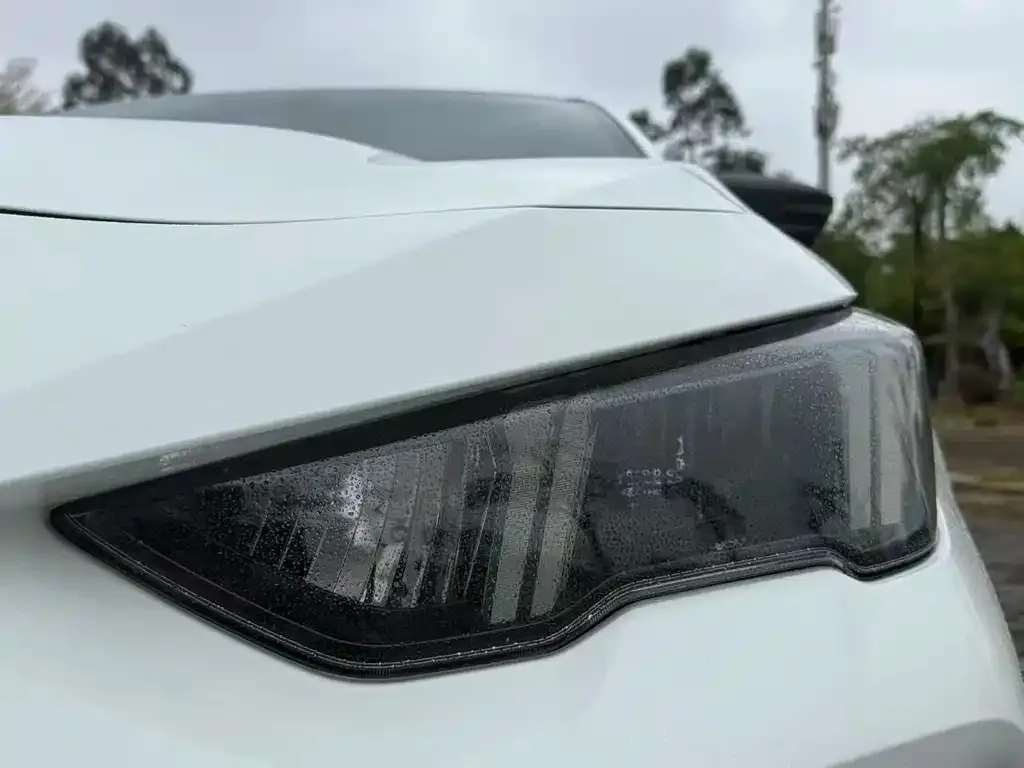 GAC Motor Shadow Leopard 2022 из CN, фото 4