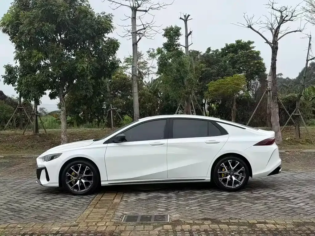 GAC Motor Shadow Leopard 2022 из CN, фото 9
