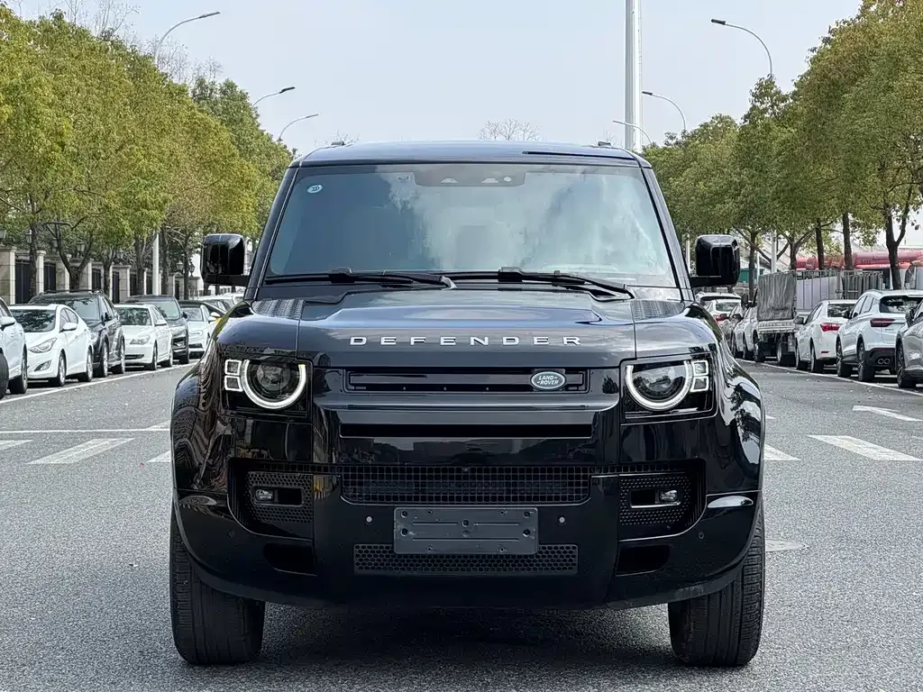Land Rover Defender — фото 2