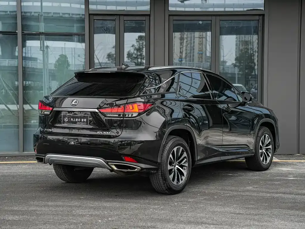 Lexus RX — фото 7