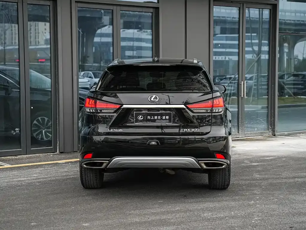 Lexus RX — фото 9