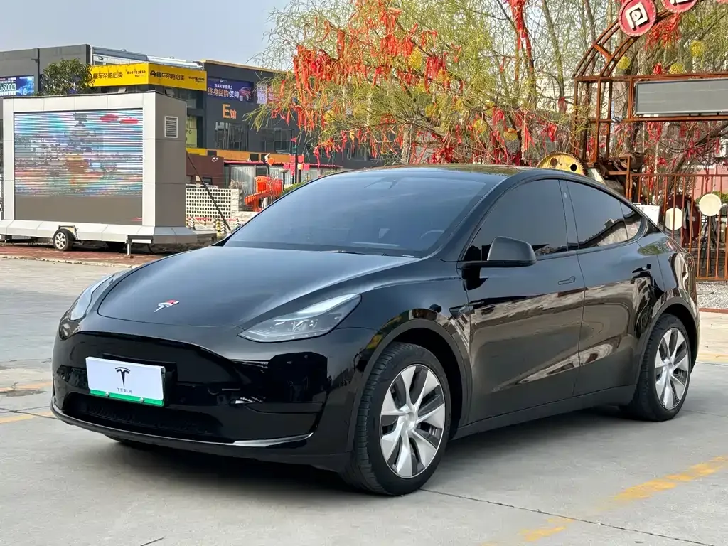 Tesla Model Y — фото 1