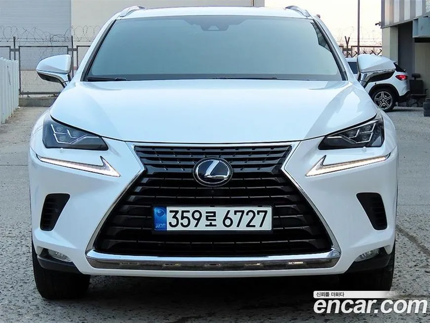 Lexus NX 2021 из KR, фото 1