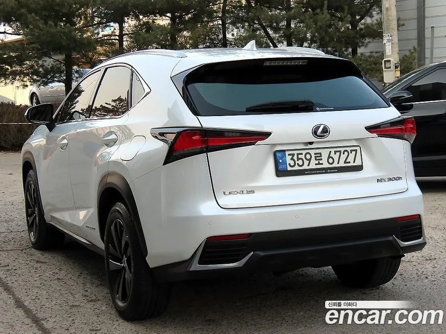 Lexus NX 2021 из KR, фото 9