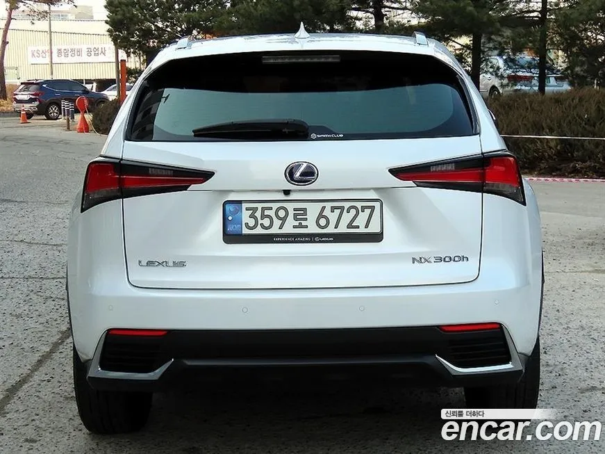 Lexus NX 2021 из KR, фото 8