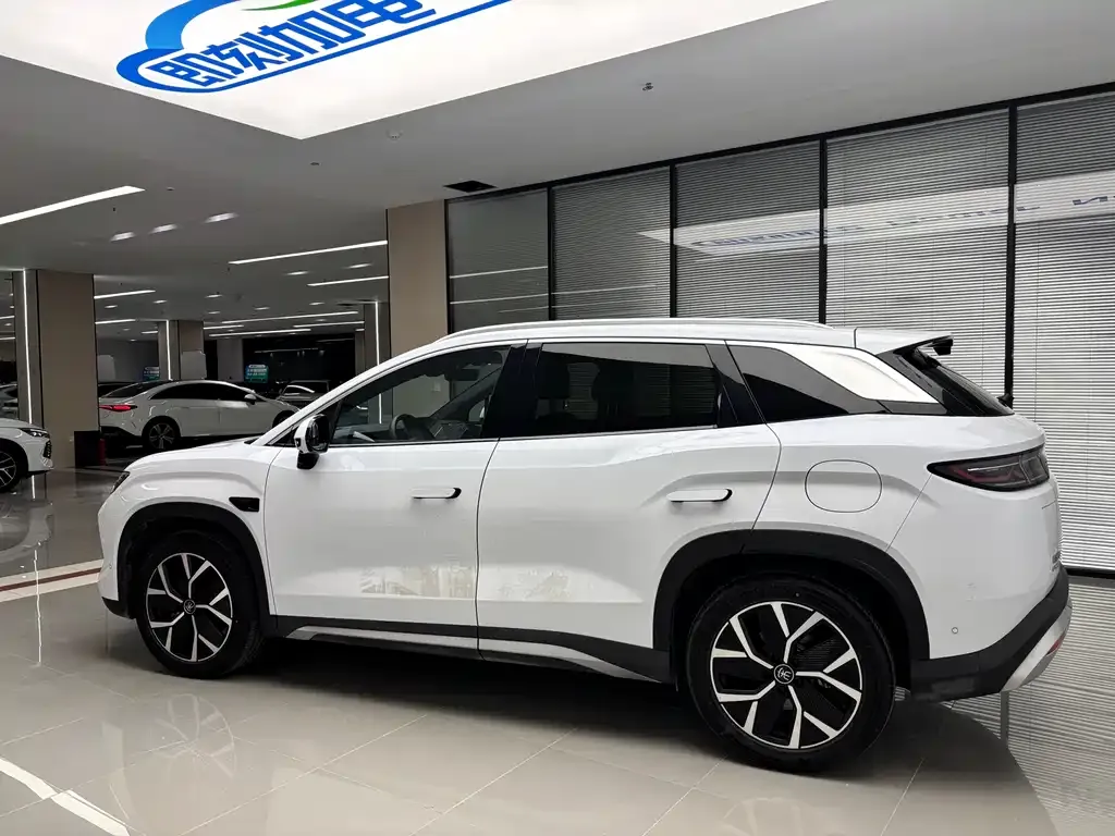 BYD L DM-i — фото 7
