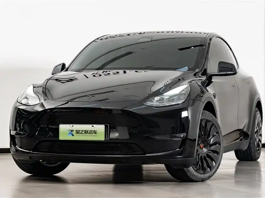 Tesla Model Y — фото 5