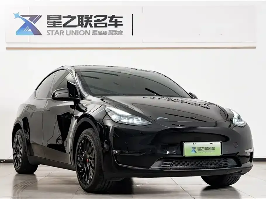 Tesla Model Y — фото 2