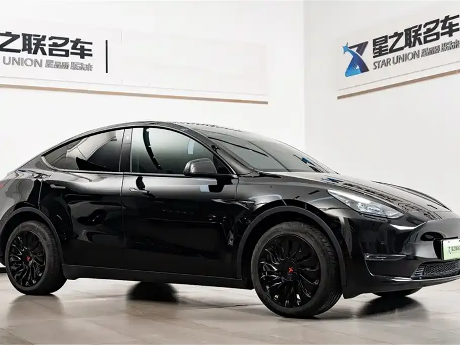 Tesla Model Y — фото 6
