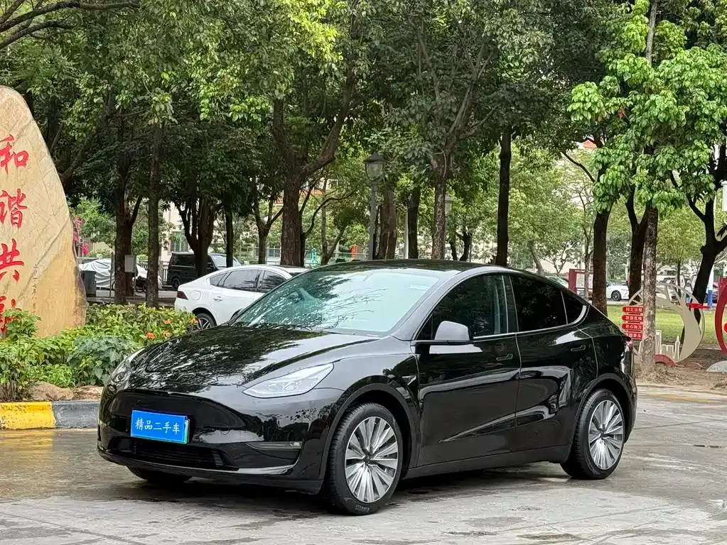 Tesla Model Y — фото 1